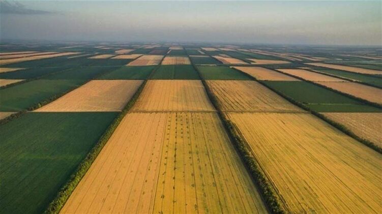 Рынок земли открылся, но сделок пока очень мало. Фото из открытых источников