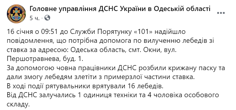 В Одесской области 16 лебедей примерзли ко льду. Спасателям удалось освободить птиц. Скриншот: facebook.com/DSNSODE