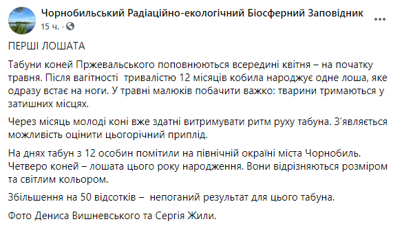 Скриншот: табун из 12 особей заметили на северной окраине города